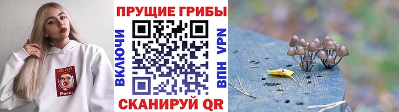 ОМГ ОМГ   Красноармейск  нарко площадка официальный сайт  Галлюциногенные грибы мицелий 