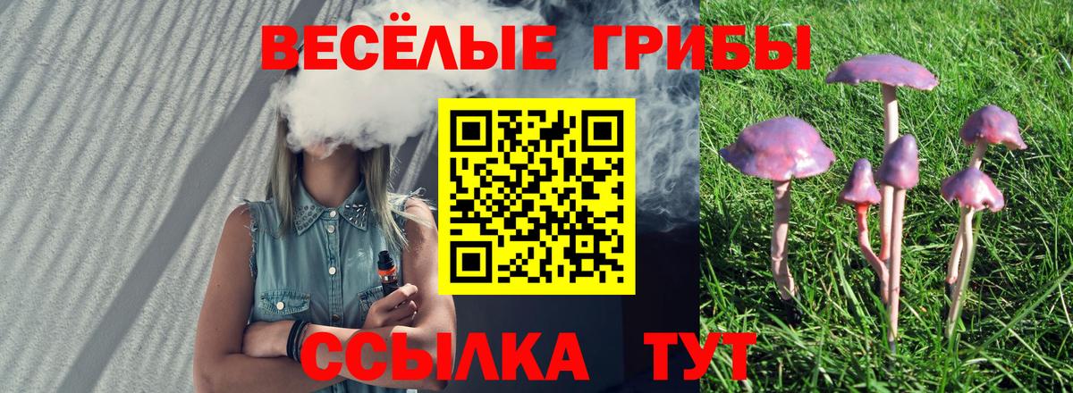 A-PVP Красноармейск